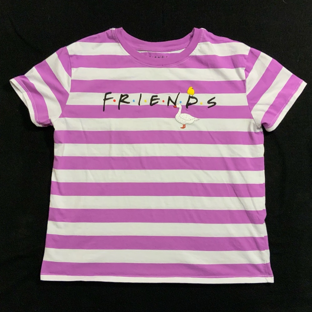 Friends Chick & Duck Purple/White Striped T-Shirt (Large)